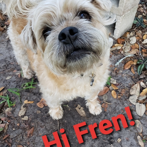 Meet your Posher, Shelly - Picture 11 of 16